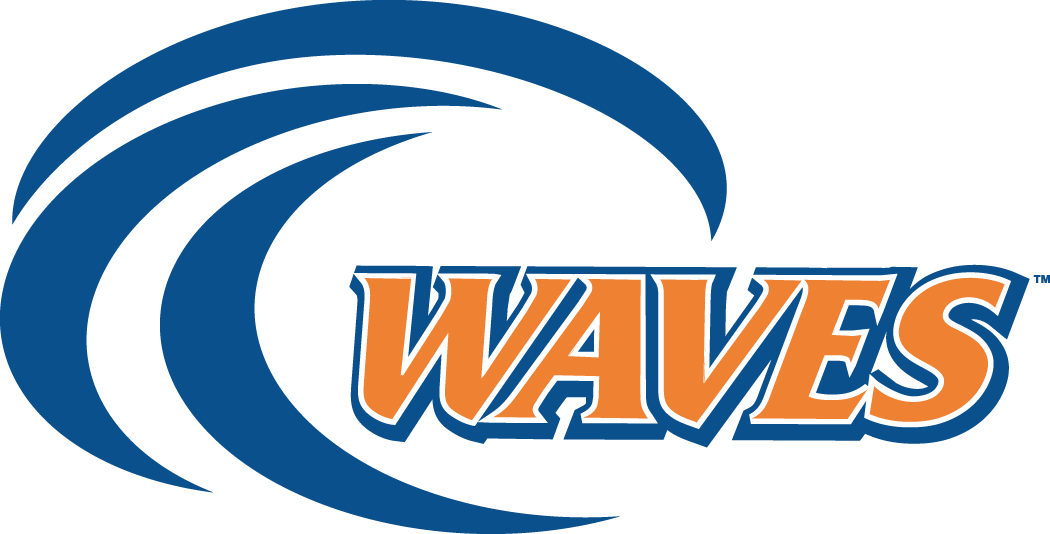 Pepperdine Waves 2004-Pres Alternate Logo v2 diy DTF decal sticker